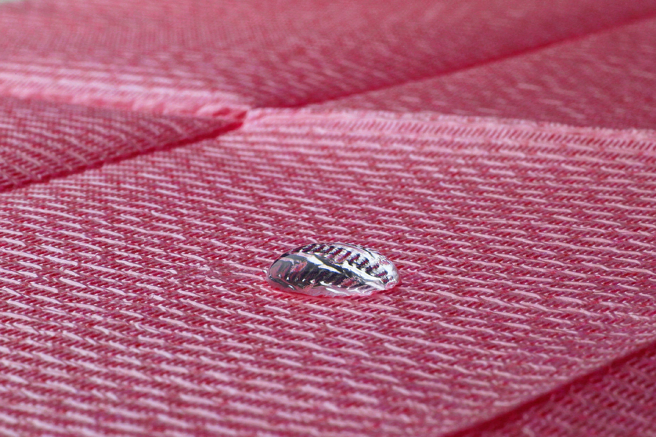 44cbac84a0be0ea4ce3e888ebf9c8a40