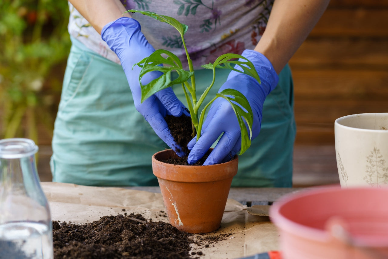 114d72635429539833e24c85ce407d8f