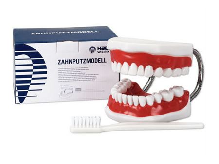 8970e025fcbfa4609e8c5ea616032885