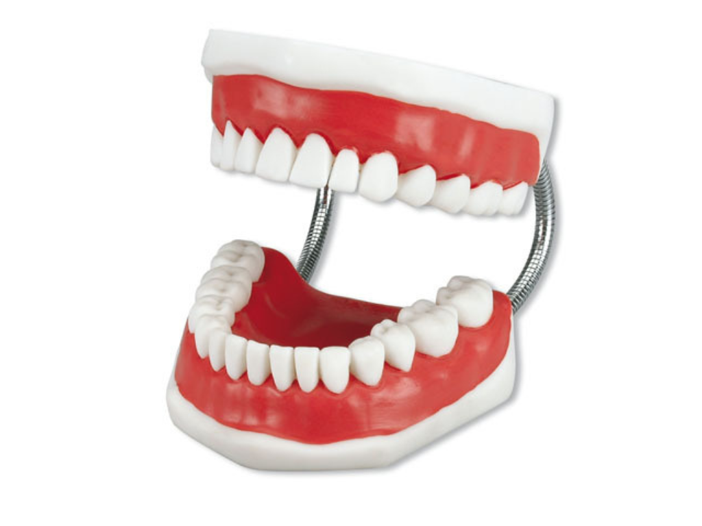 e73c6ecae2419ff2e77c7ed52e11d3a8